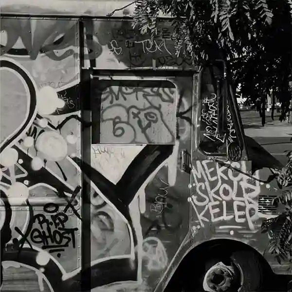 parked van covered in grafiti behing a leafy tree